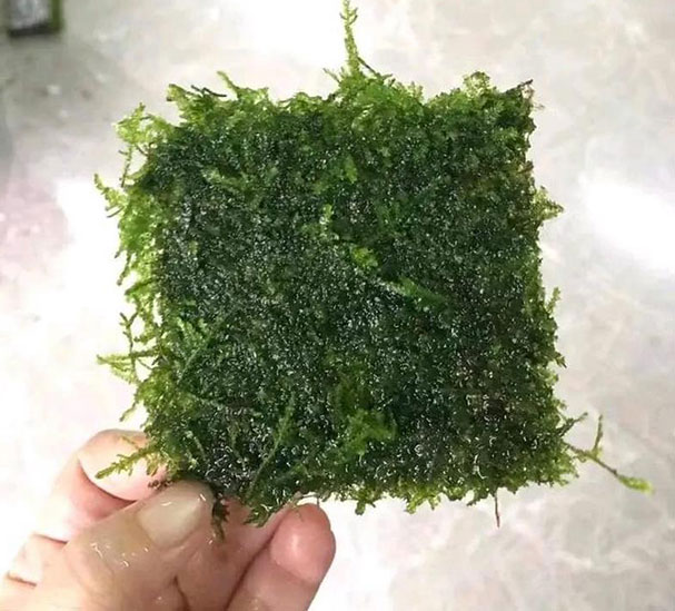 CRYSTAL-MOSS CRYSTAL-MOSS